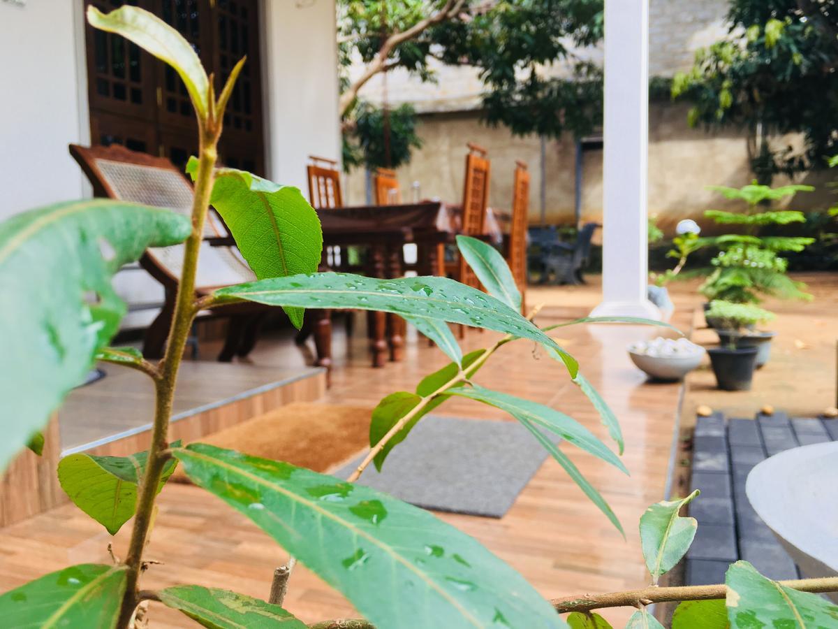 Perfect Hideout Hotel Dambulla Kültér fotó